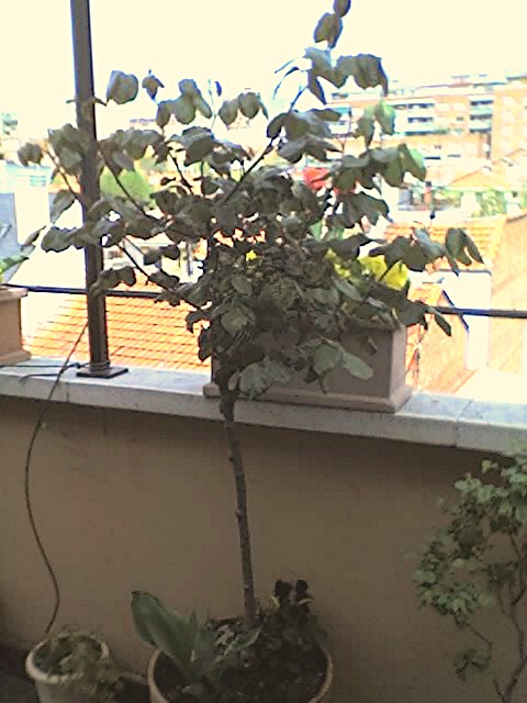 01-04-06_1426.jpg
