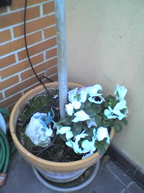 01-04-06_1428.jpg