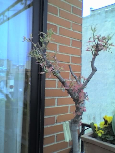 01-04-06_1429.jpg