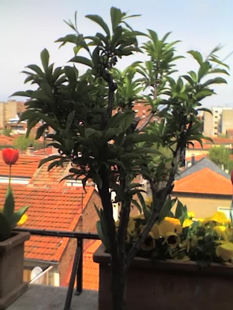01-04-06_1430.jpg