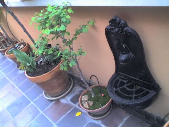 01-04-06_1433.jpg