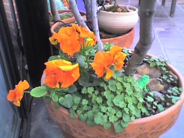 01-04-06_1434.jpg