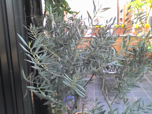 01-04-06_1435.jpg