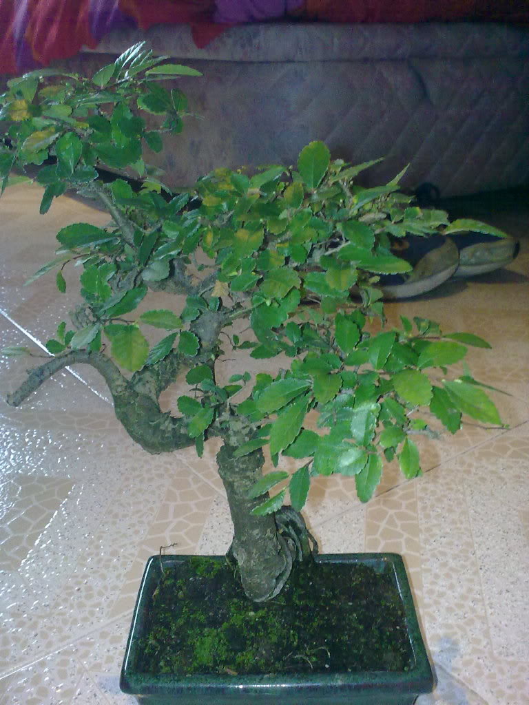 01022010350.jpg