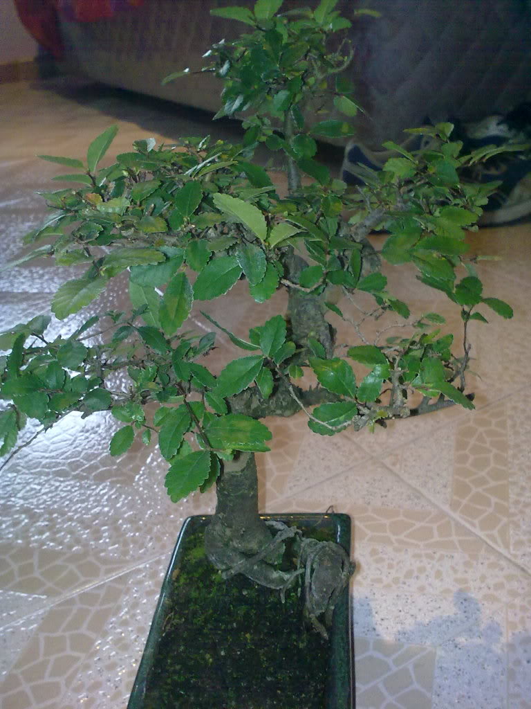 01022010351.jpg