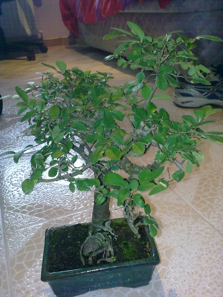 01022010352.jpg