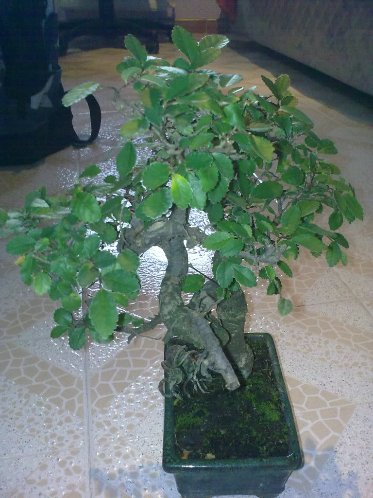 01022010354.jpg