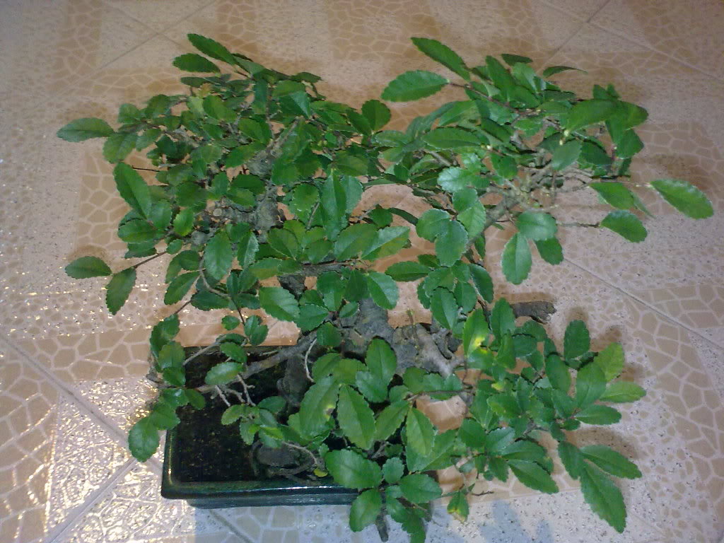 01022010355.jpg