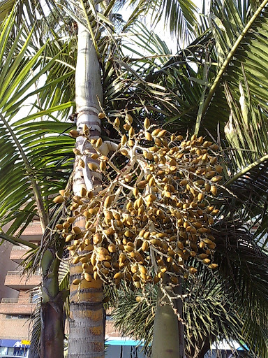 010320102117.jpg