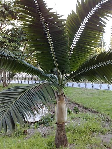 010320102119.jpg