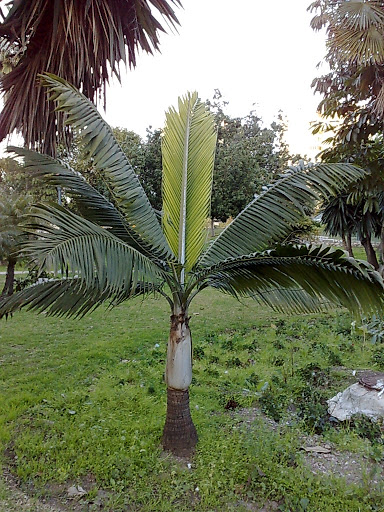 010320102120.jpg