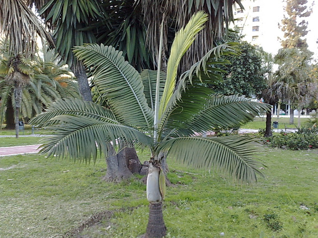010320102121.jpg