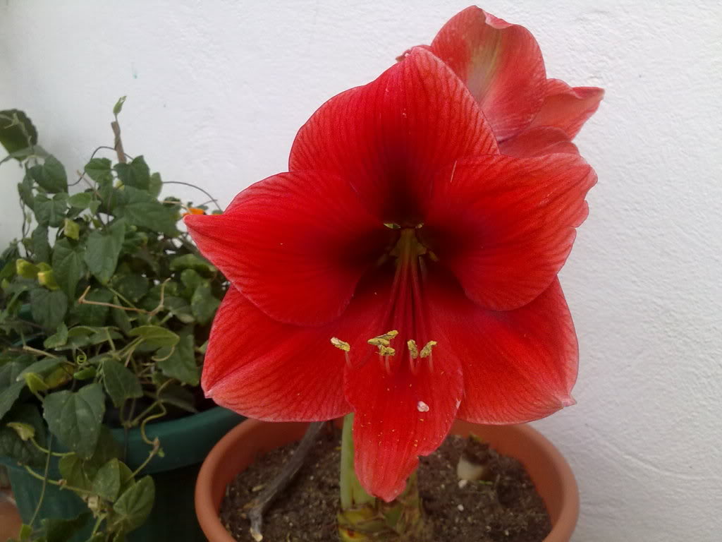 01042010238.jpg