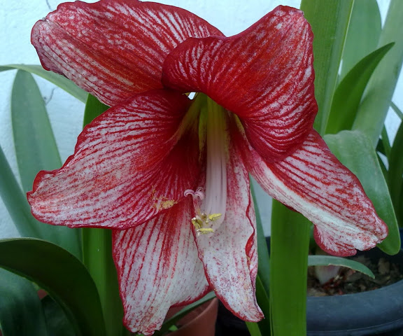 010420121166.jpg