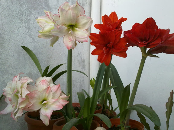 010420121176.jpg