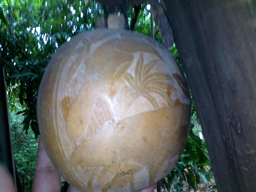 01052012073.jpg