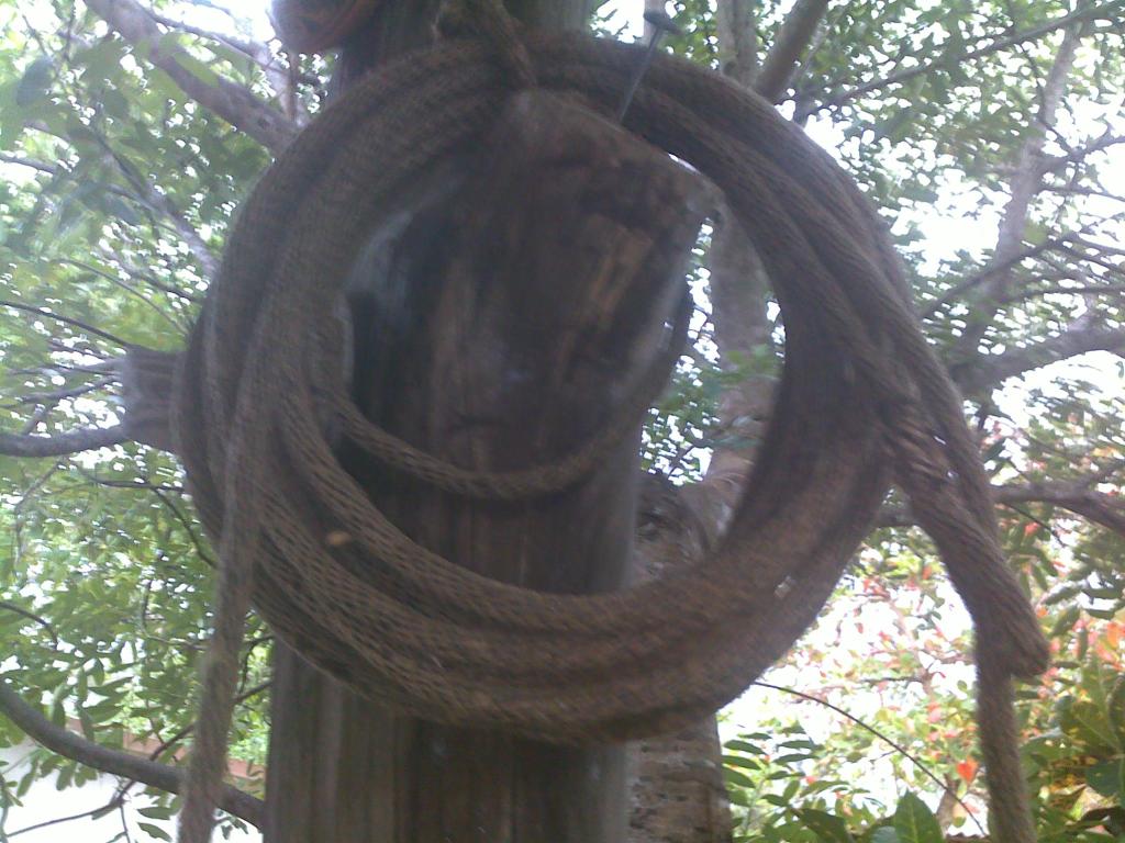 01052012075.jpg