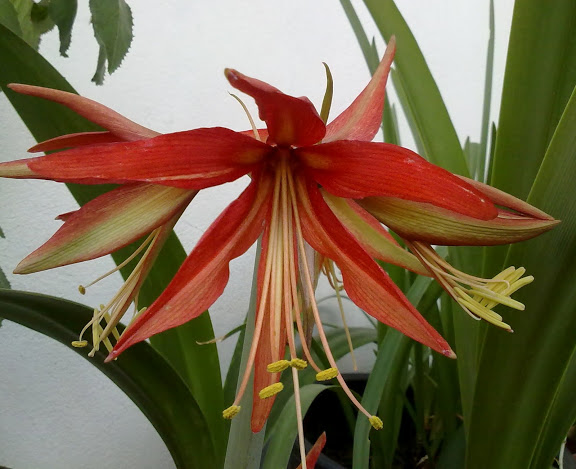 010520121403.jpg