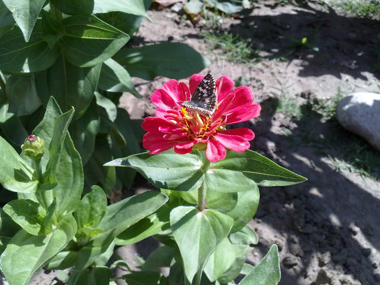 01062010383.jpg