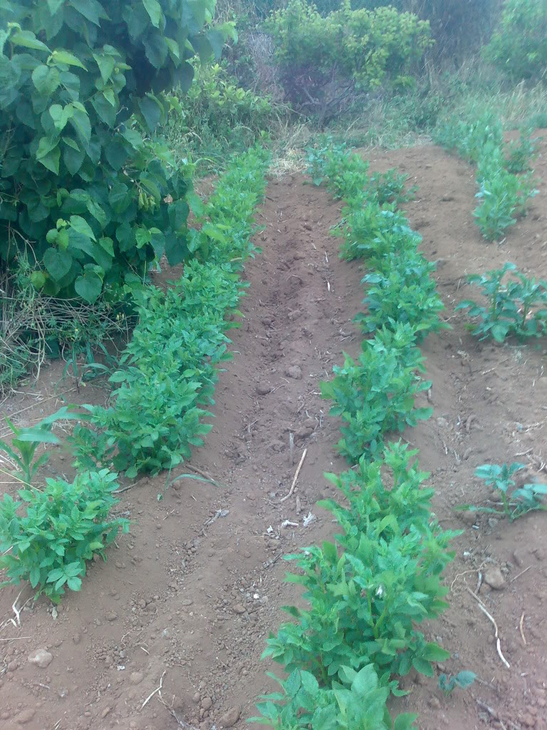 01072011382.jpg