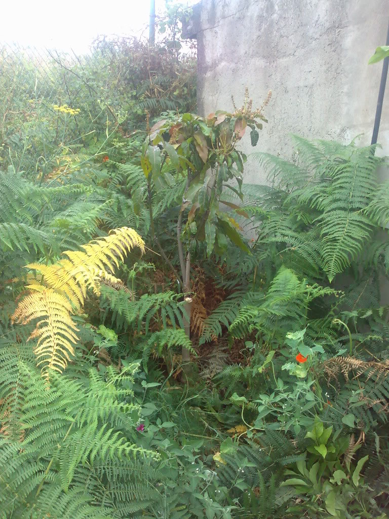 01072011387.jpg