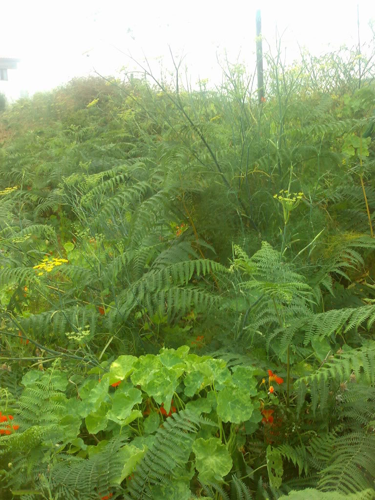 01072011388.jpg