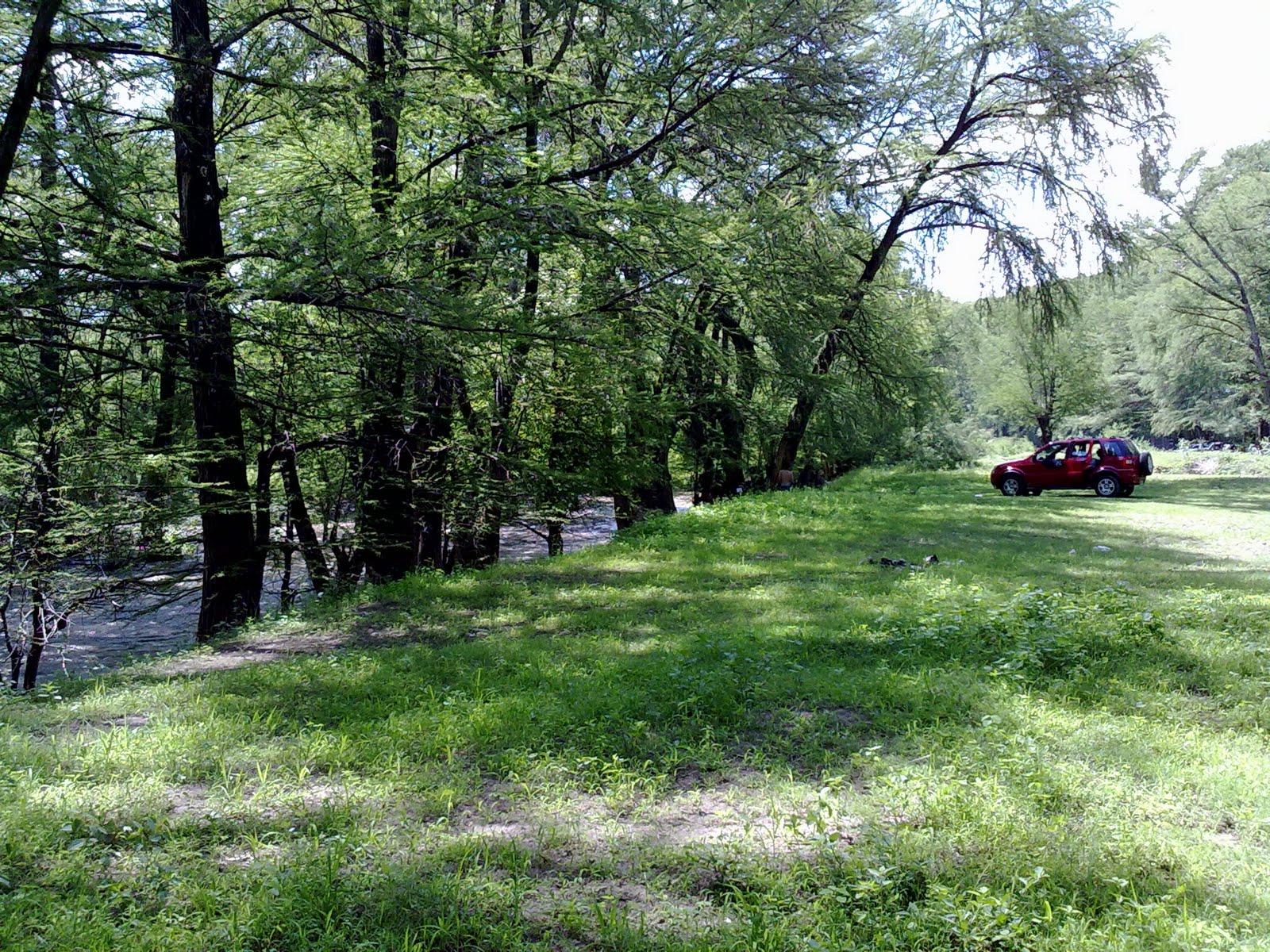 010820102118.jpg