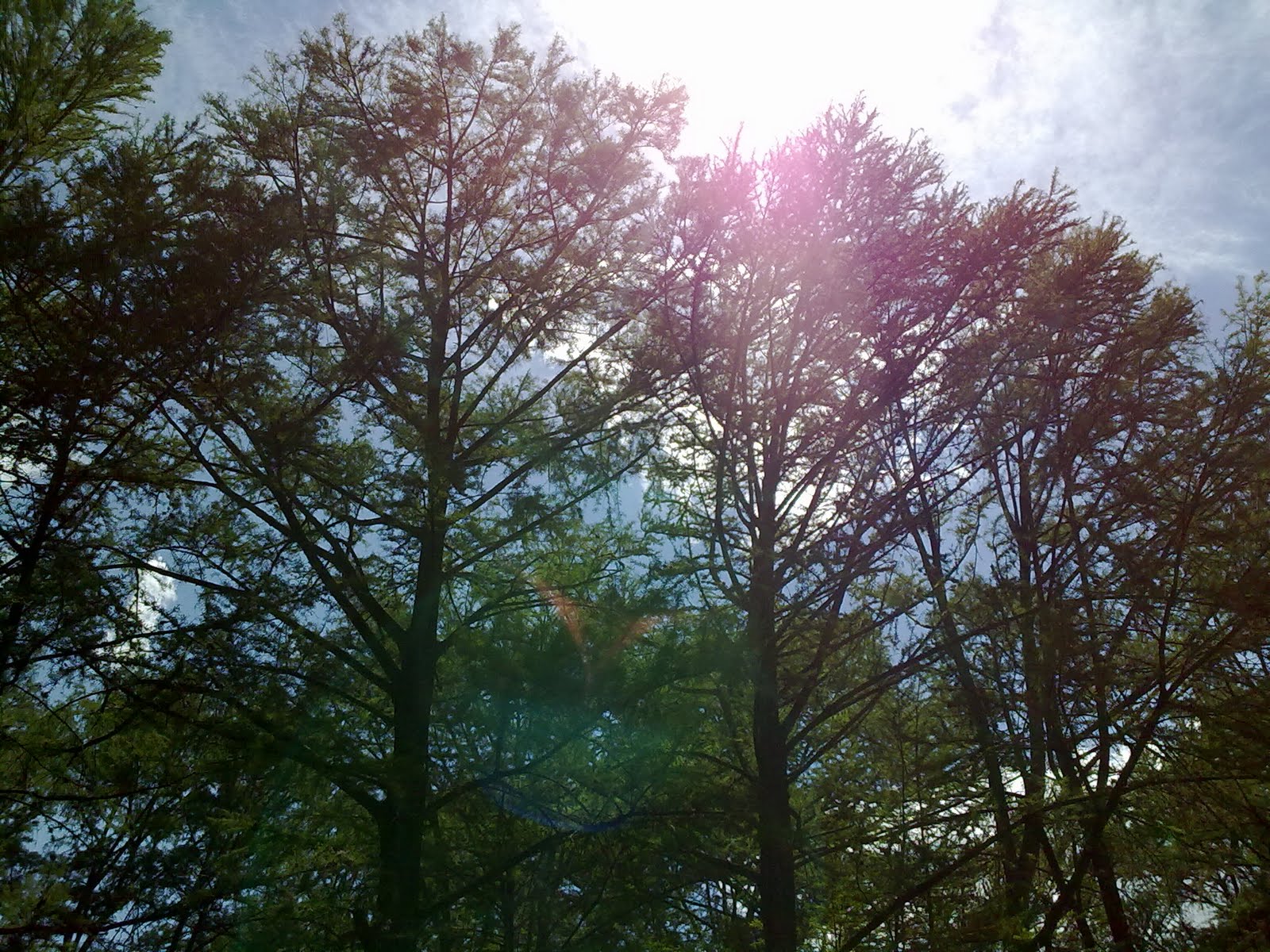 010820102119.jpg