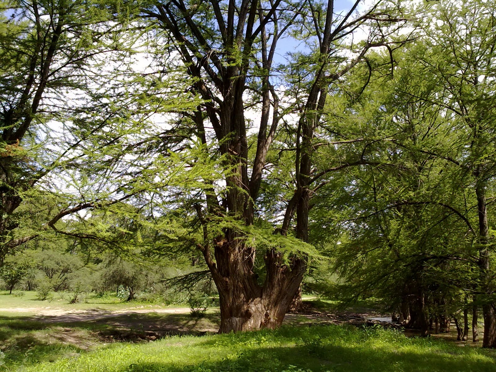 010820102120.jpg