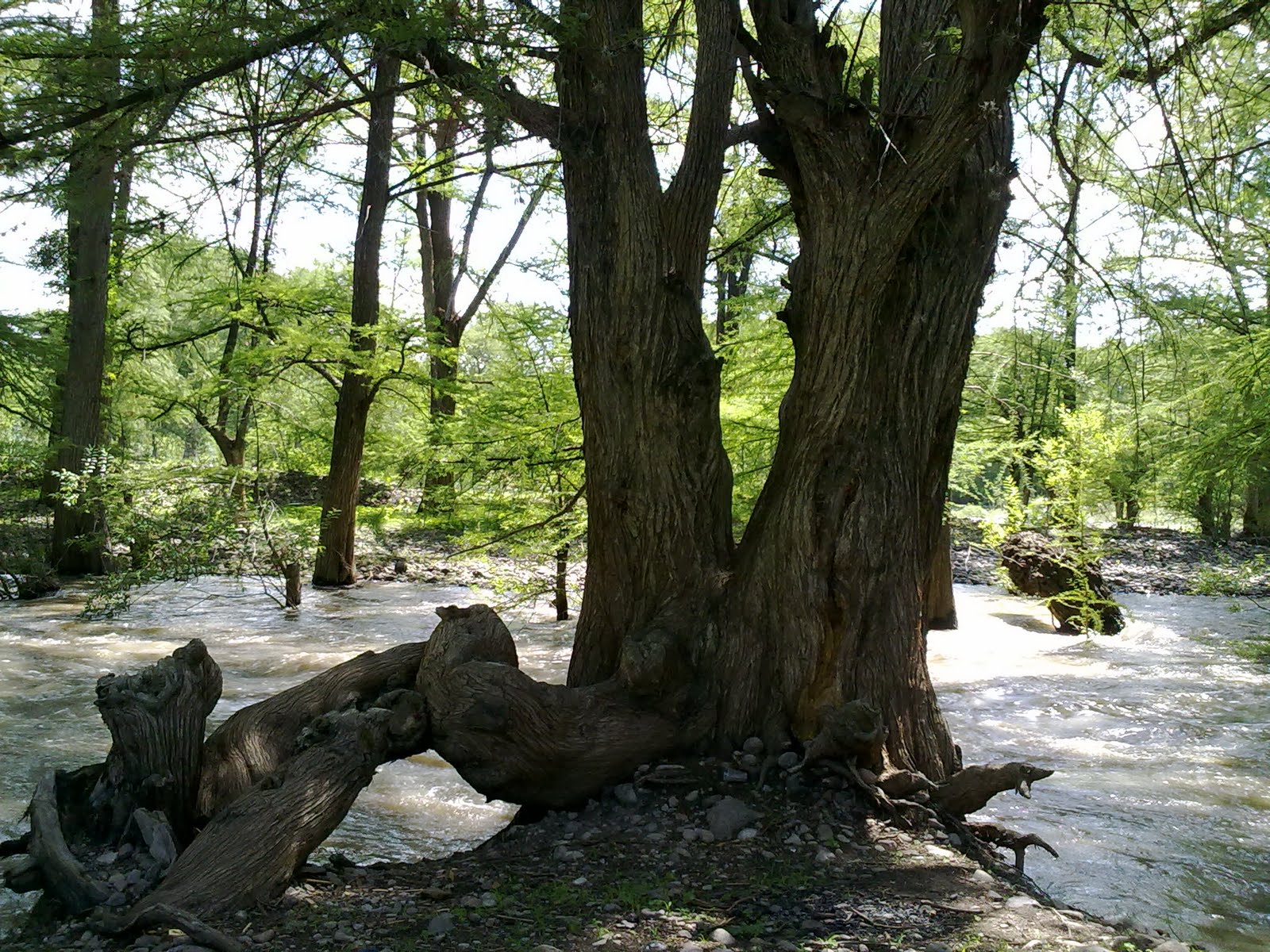010820102122.jpg