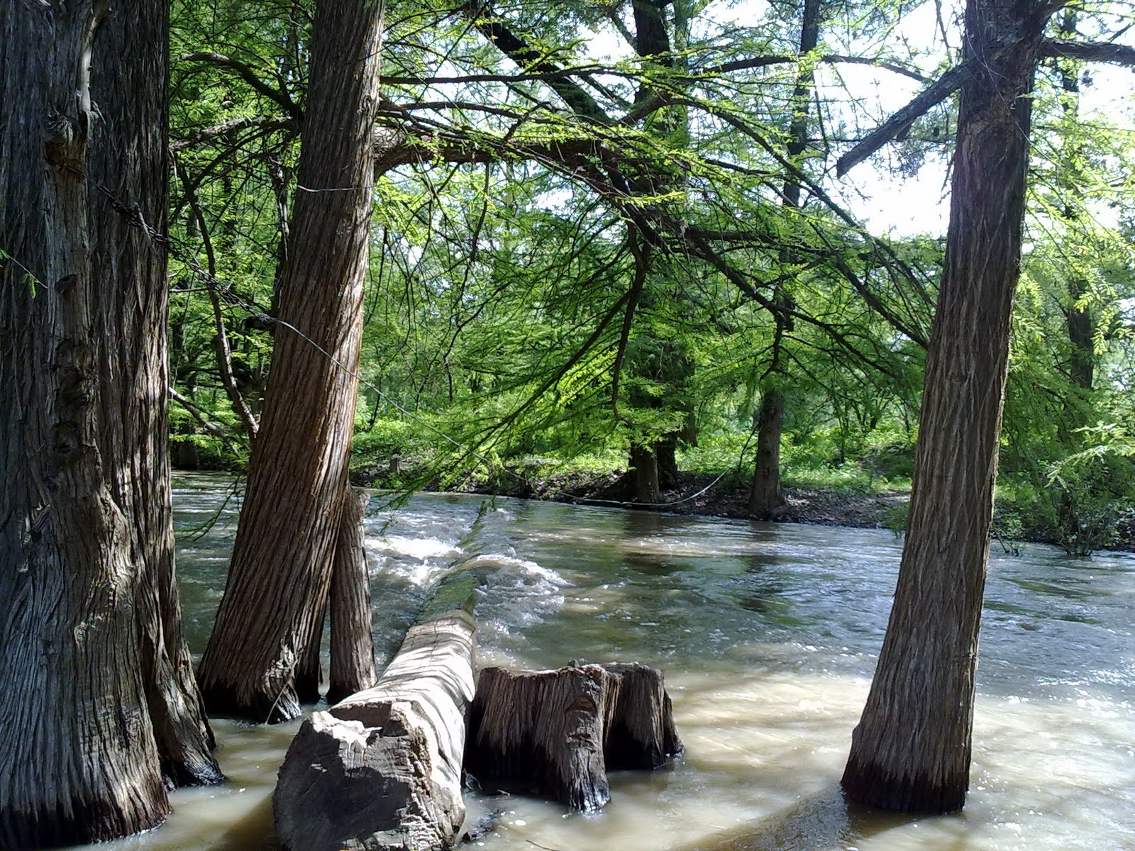 010820102146.jpg