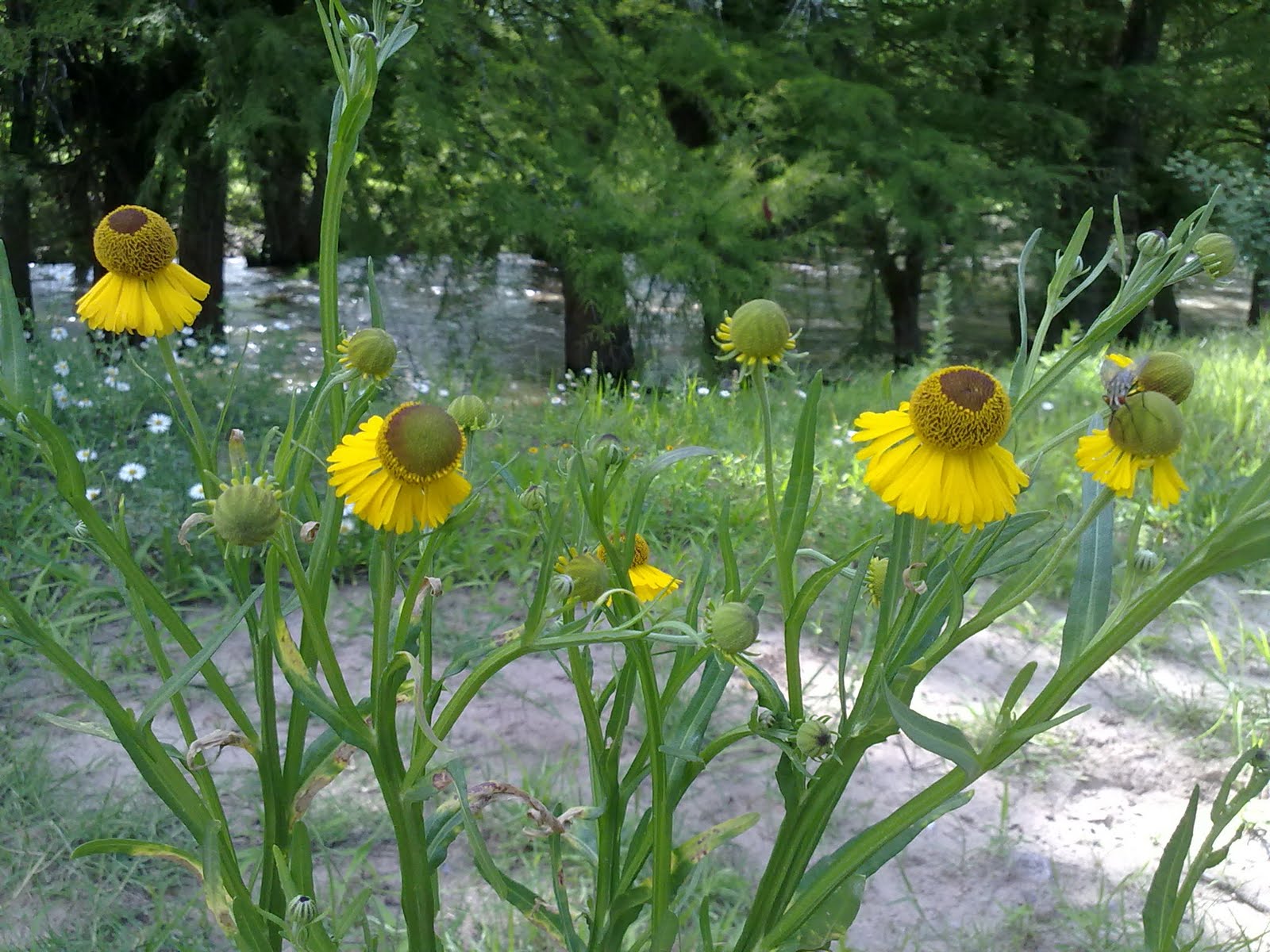 010820102155.jpg