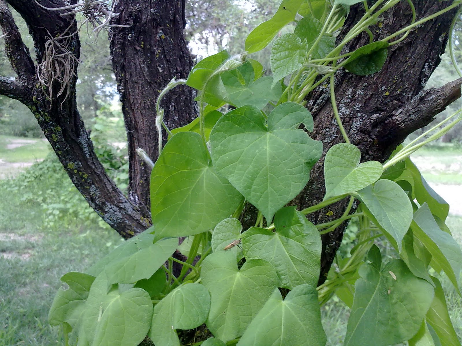 010820102156.jpg