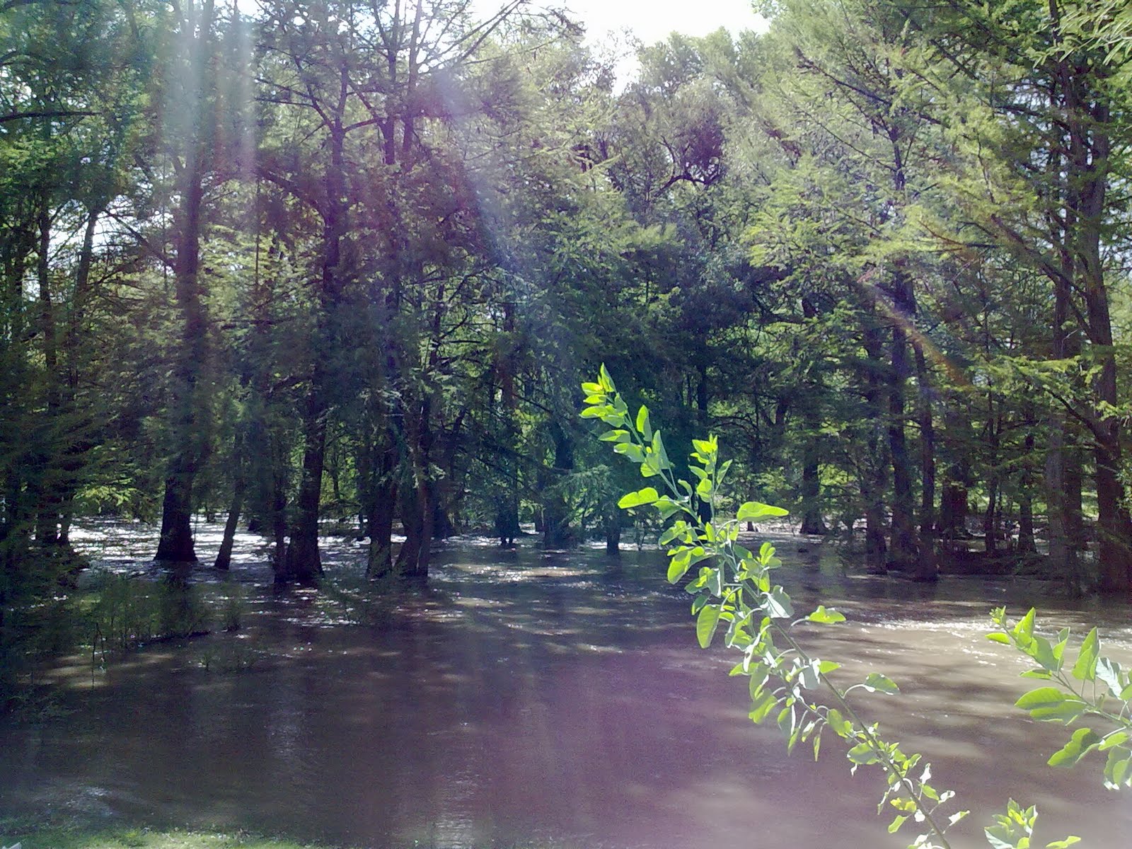 010820102159.jpg