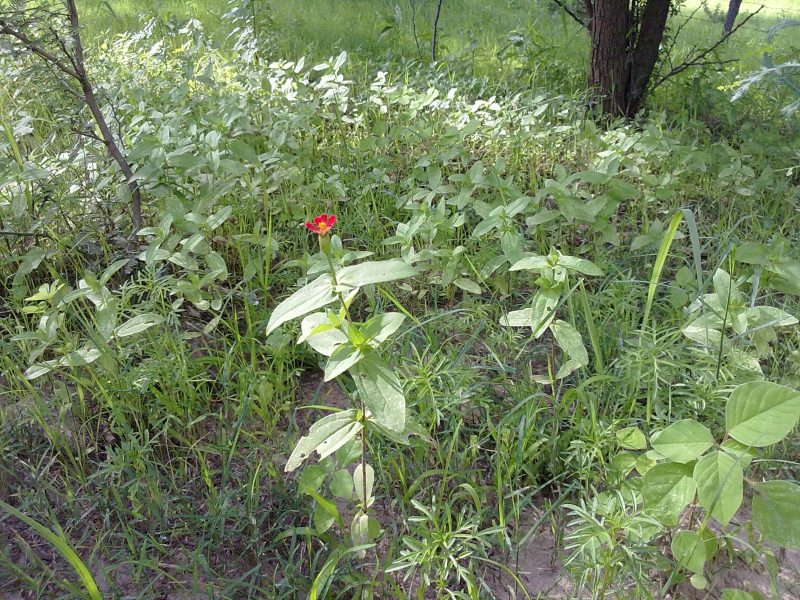 010820102188.jpg