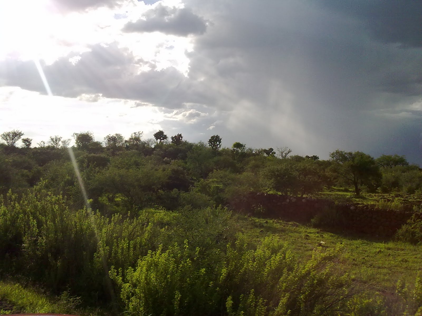 010820102197.jpg