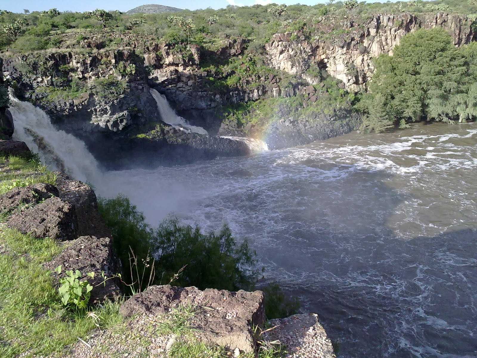 010820102198.jpg