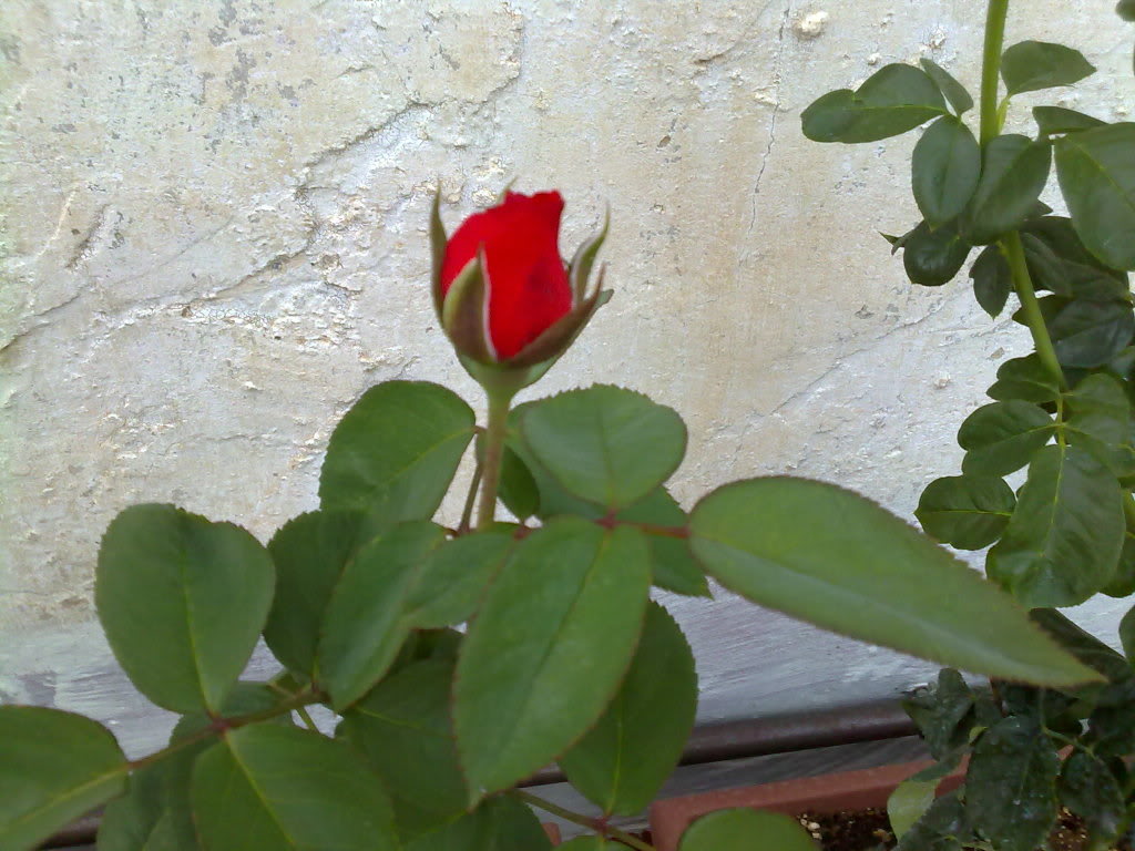 01082010708.jpg