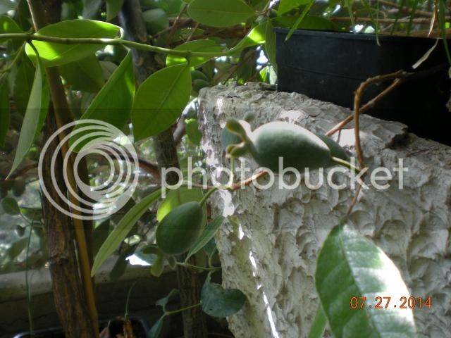 010_zps366884ea.jpg