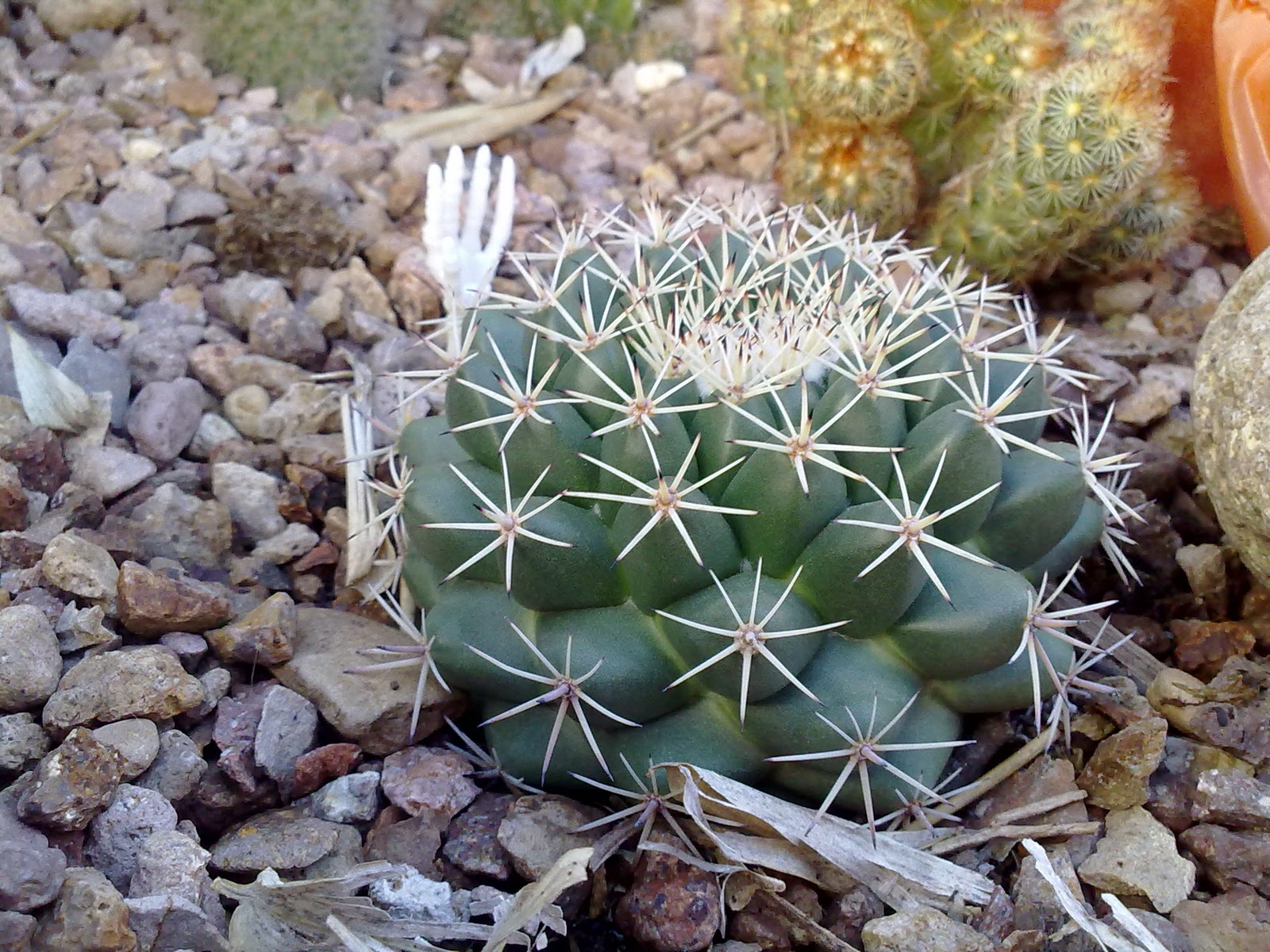 011020103901.jpg