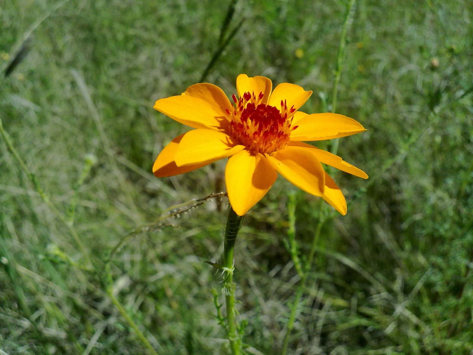 011020103909.jpg