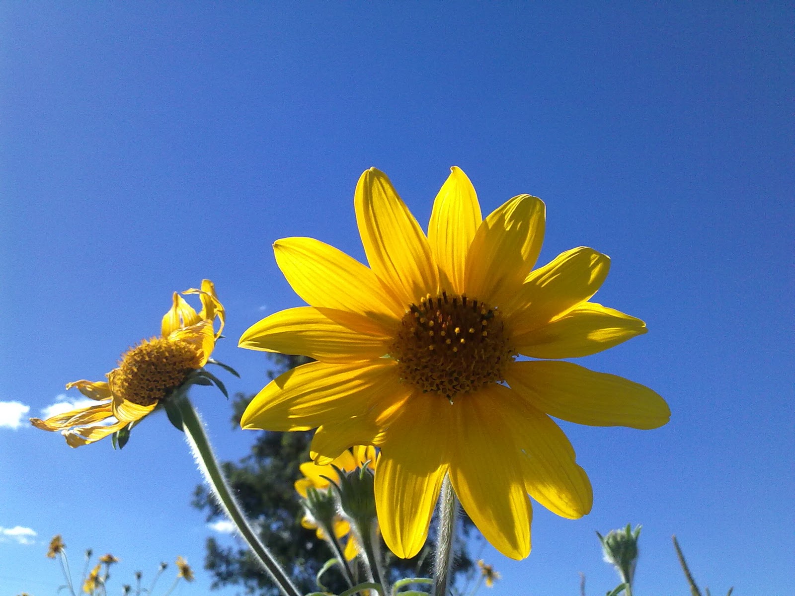 011020103911.jpg