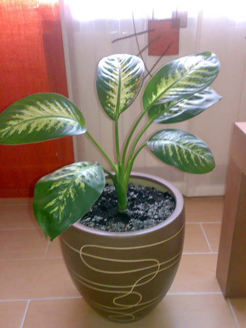 01112008756.jpg