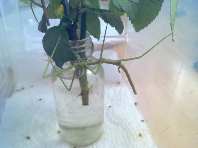 01112010740.jpg