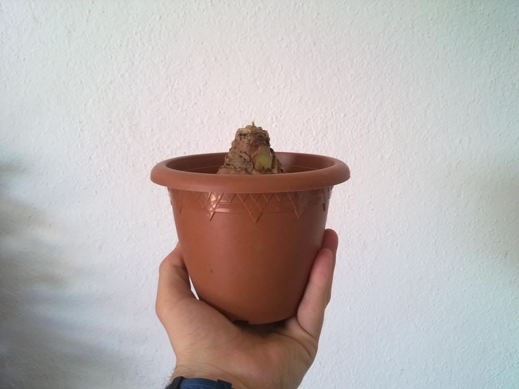 01112012079.jpg