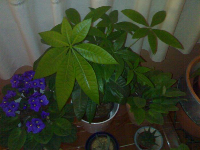 01122007088.jpg