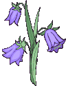 012.gif