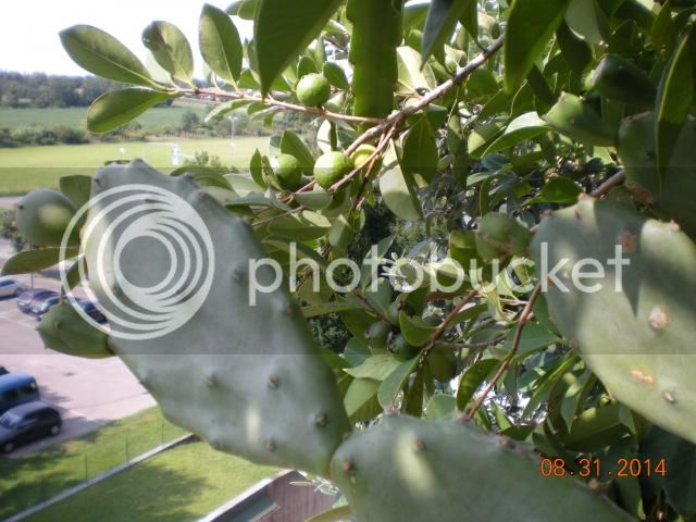 013_zps02c92b4d.jpg