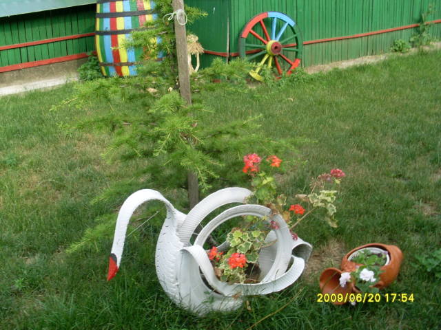 015754749.jpg