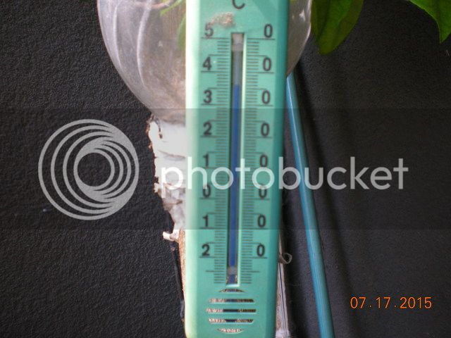 015_zpsk7xyekzp.jpg